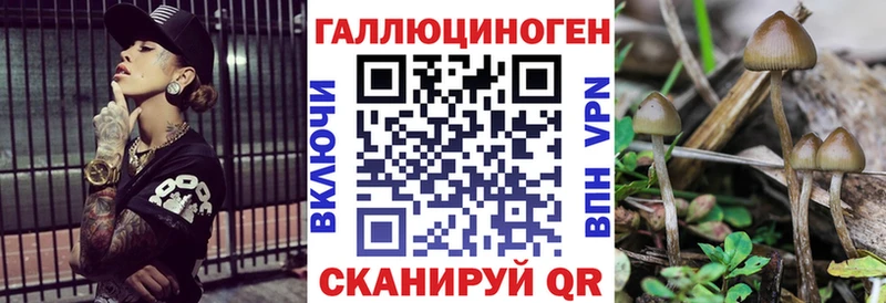 Псилоцибиновые грибы Cubensis  omg tor  Сергач  где купить  